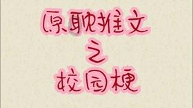 世界拳击冠军李洋出任世界夫人拳击总教官
