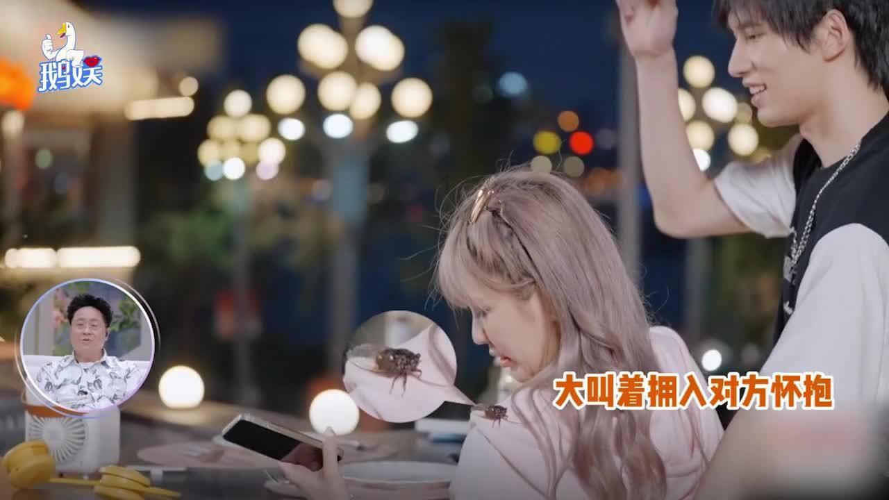 赛马大亨8