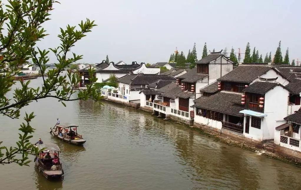 拯救小萌虎
