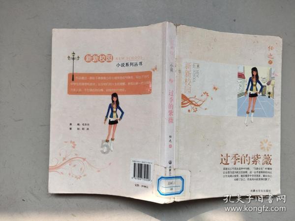 空中战队